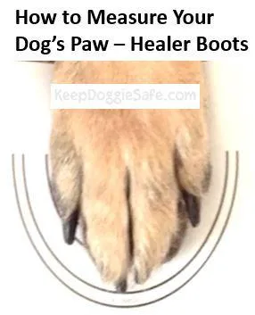 Healers Urban Walkers Dog Boots for Cold, Heat & Terrain